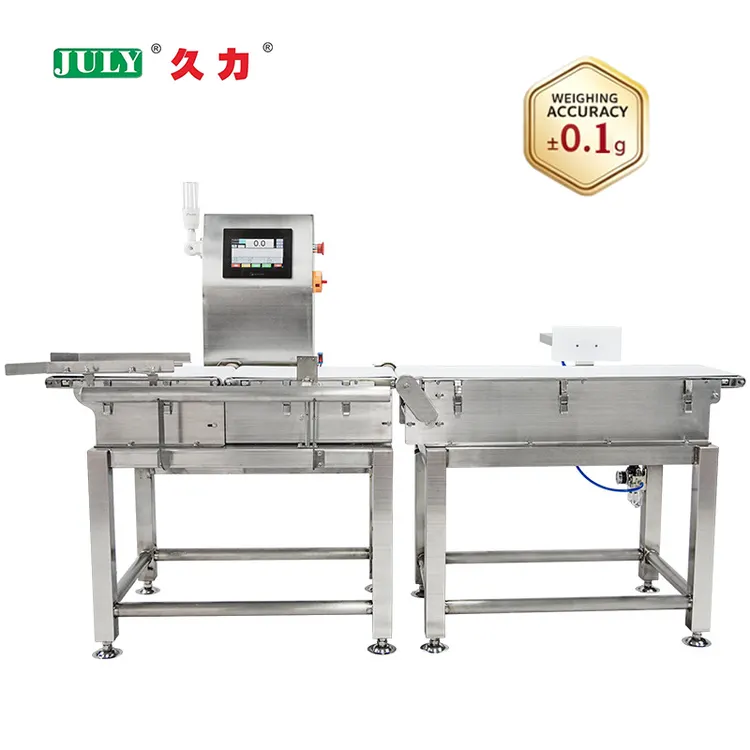 Dynamic Online Weighing System High Accuracy Checkweigher for Packaging Line
