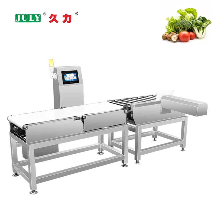 Reliable Durable 0.01g Accuracy Weighing Machine for Vegetable Conveyor Line