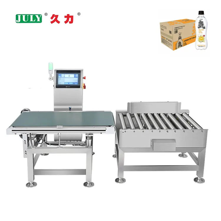 Fast Delivery Electronic Conveyor Weighting Scale Machine for Industrial Production Line