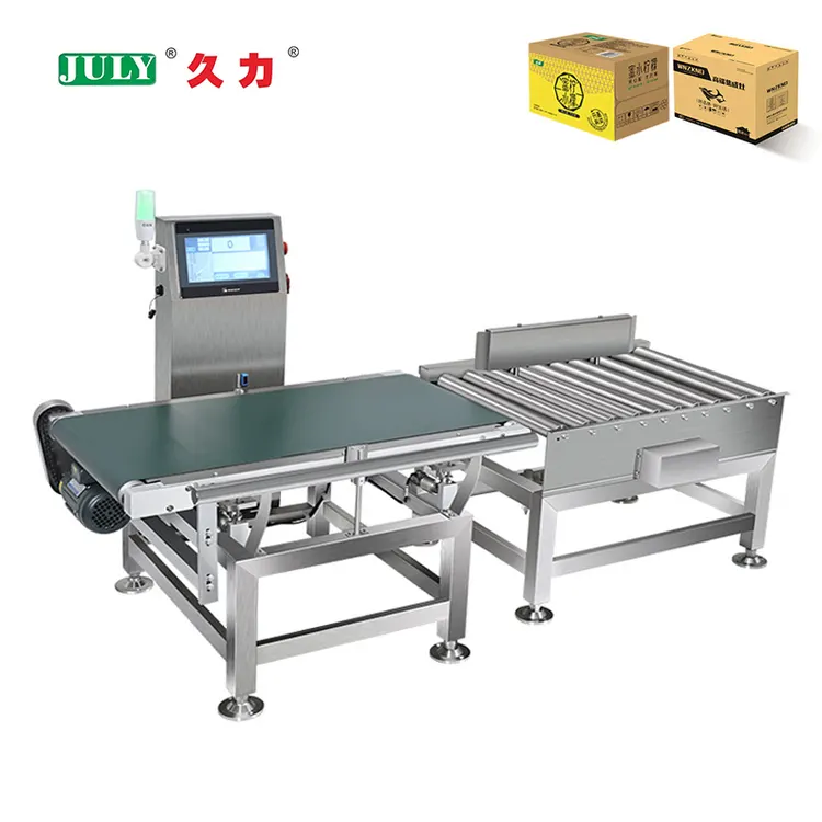 High Quality Digital Dynamic Weighing System for Production Packaging Machine Line
