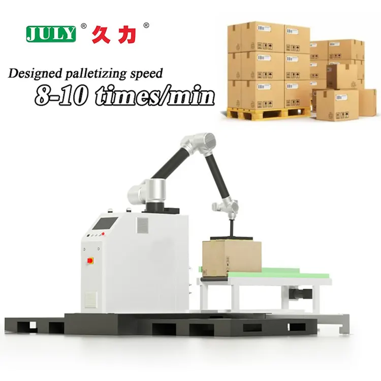 Automatic Cobot Palletizer for Multi Station Carton Box Case Stacking End of Line Packaging